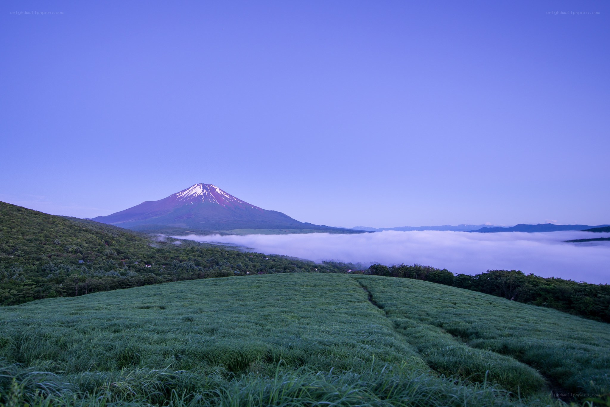 Mount Fuji at dawn with sea of clouds