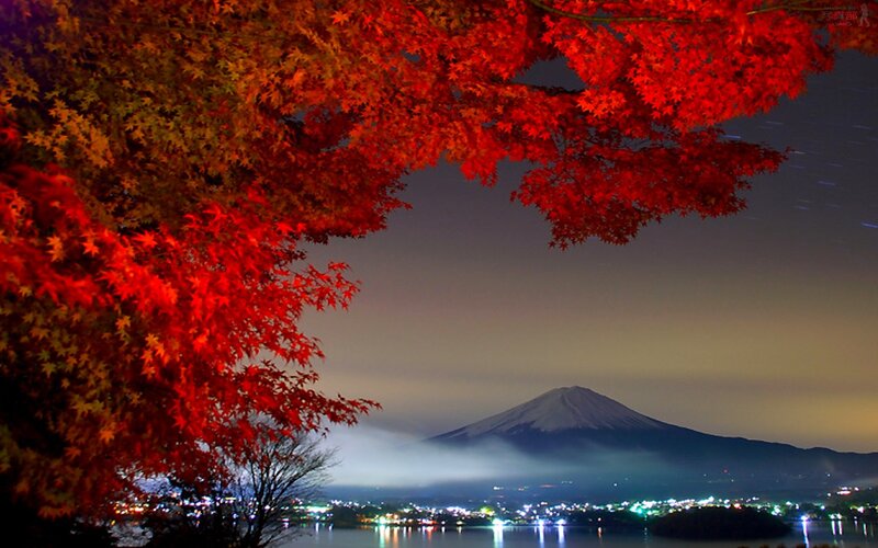 Mount Fuji at night with autumn leaves