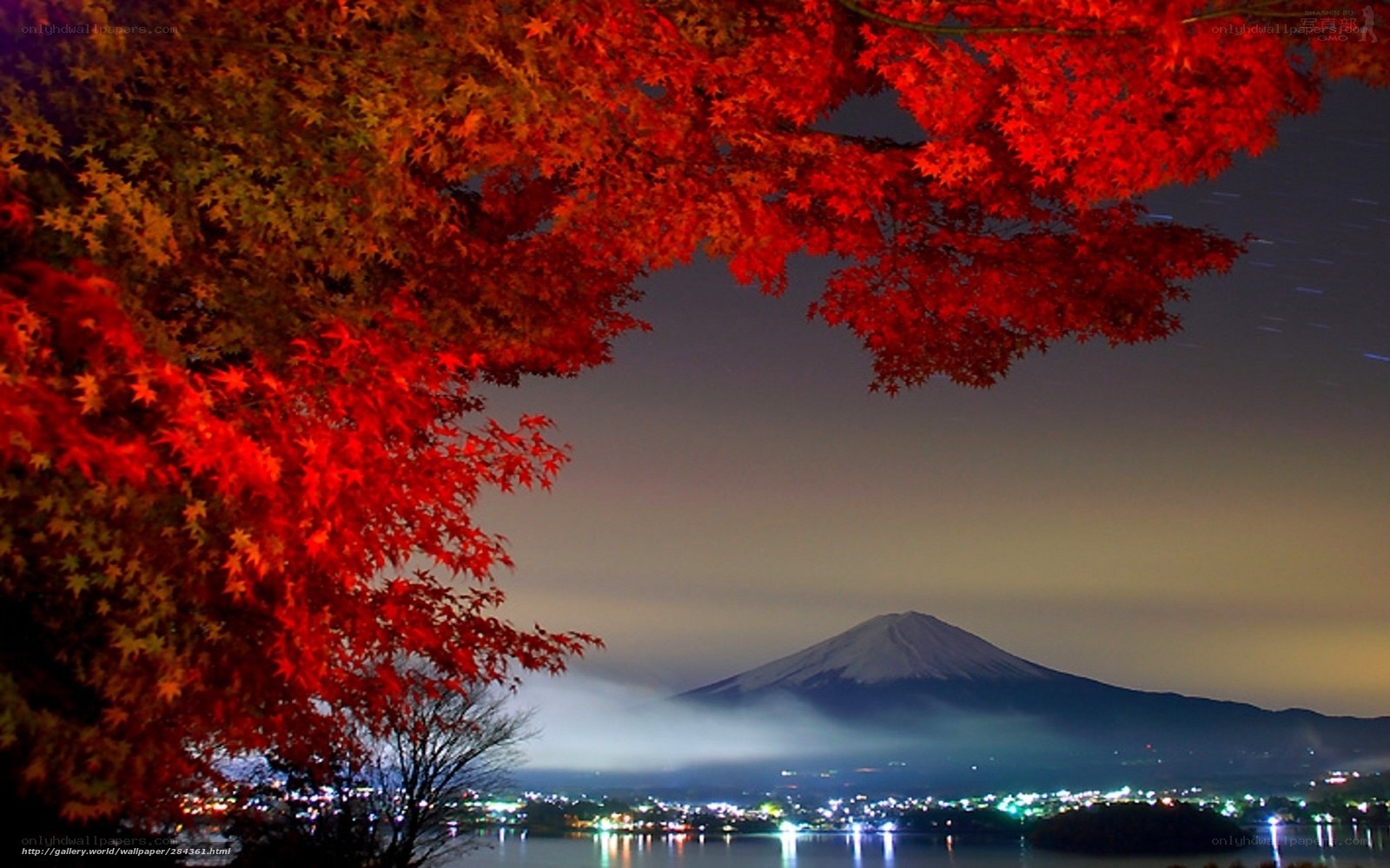 Mount Fuji at night with autumn leaves