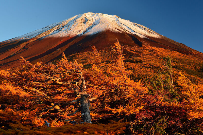 Mount Fuji at Sunrise — Orange, Dramatic