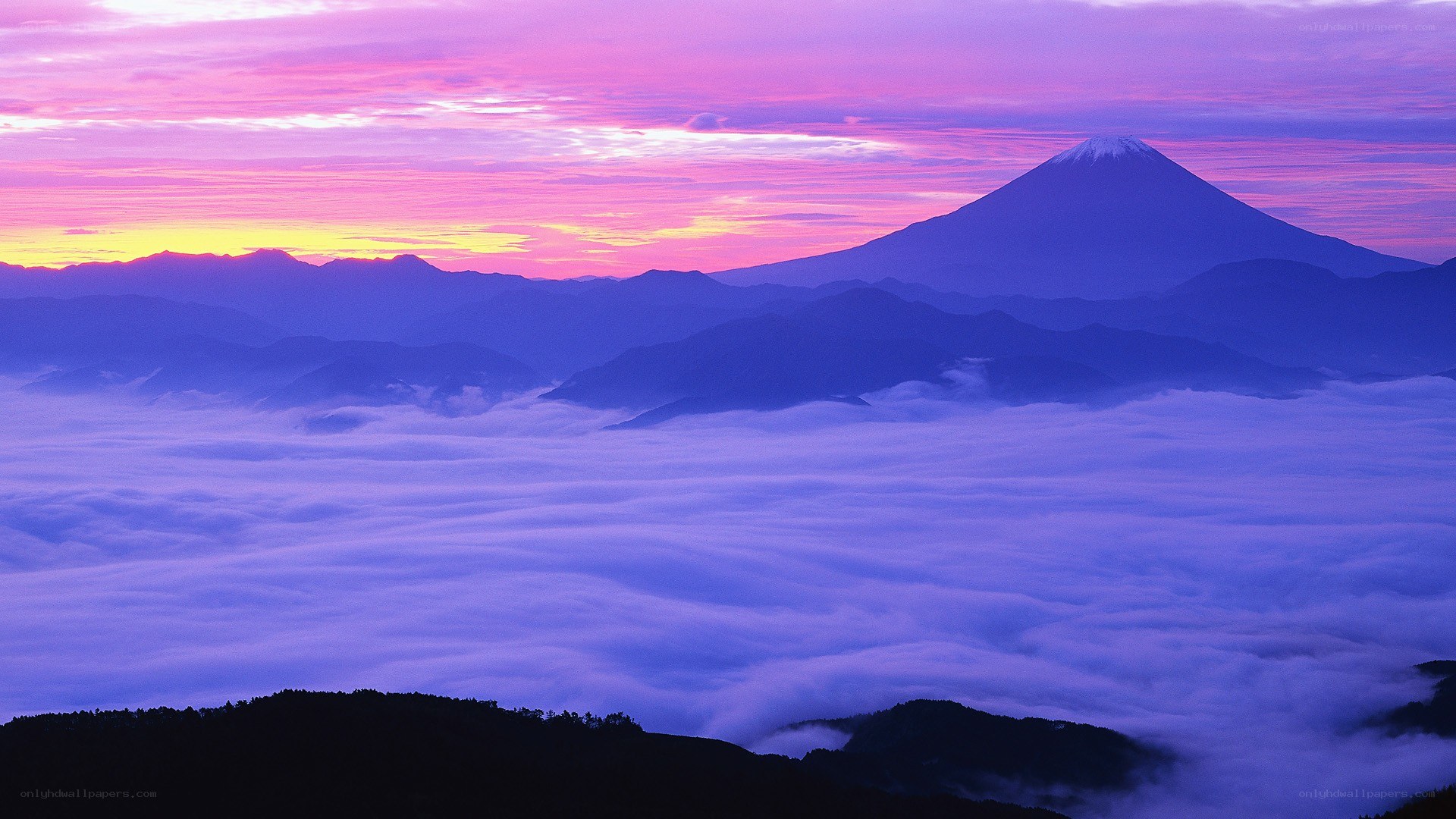 Mount Fuji at sunrise over clouds