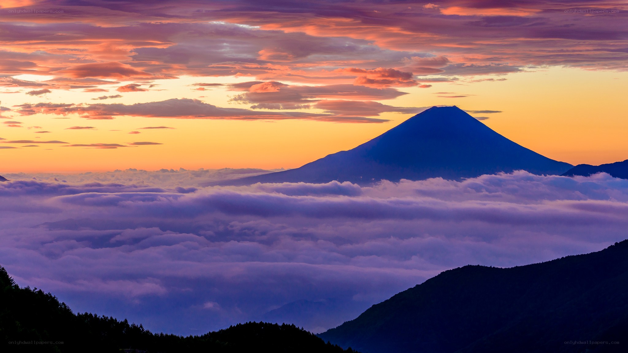 Mount Fuji at sunrise over clouds