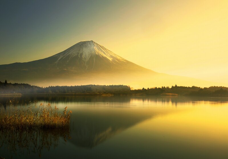 Mount Fuji at Sunrise — Yellow