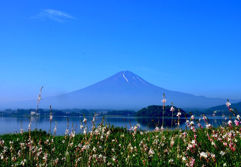 Mount Fuji from a Lake — Blue, Serene