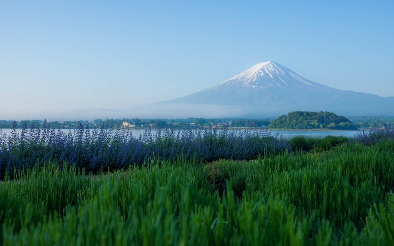 Mount Fuji from a Lake — Green