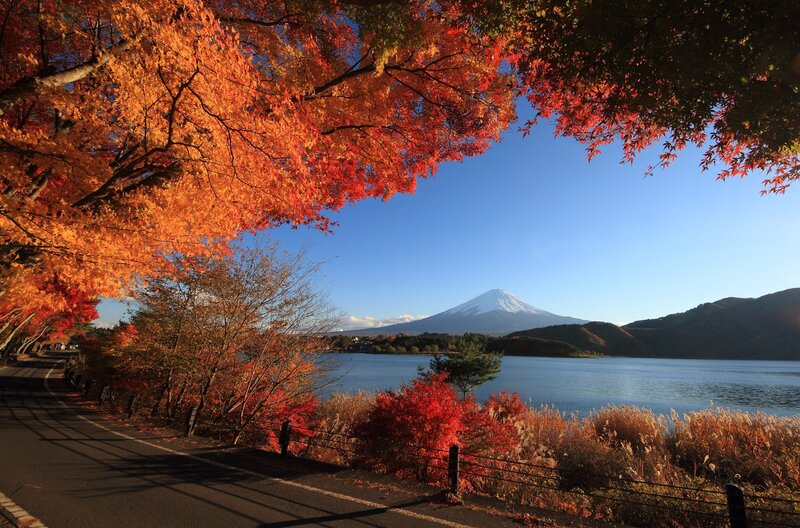 Mount Fuji from a Lakeside