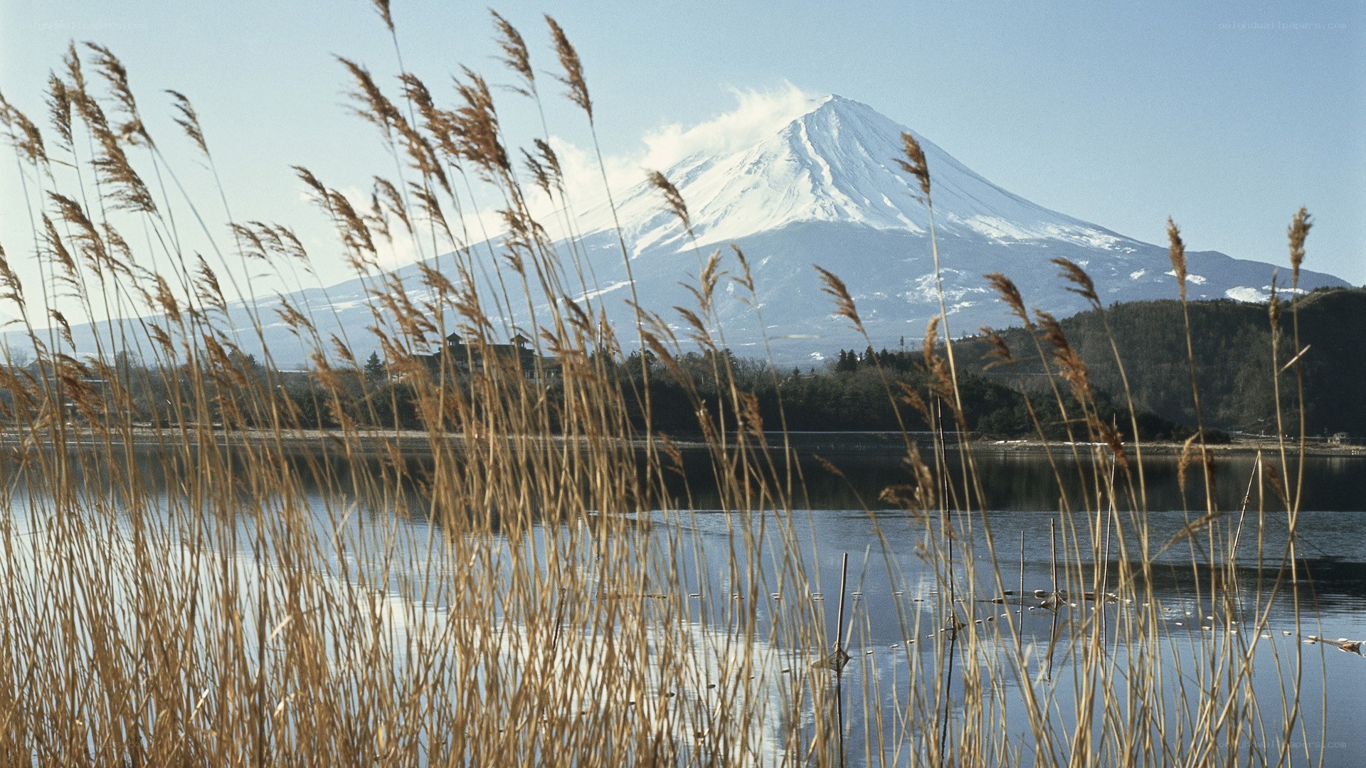 Mount Fuji from a lakeside view