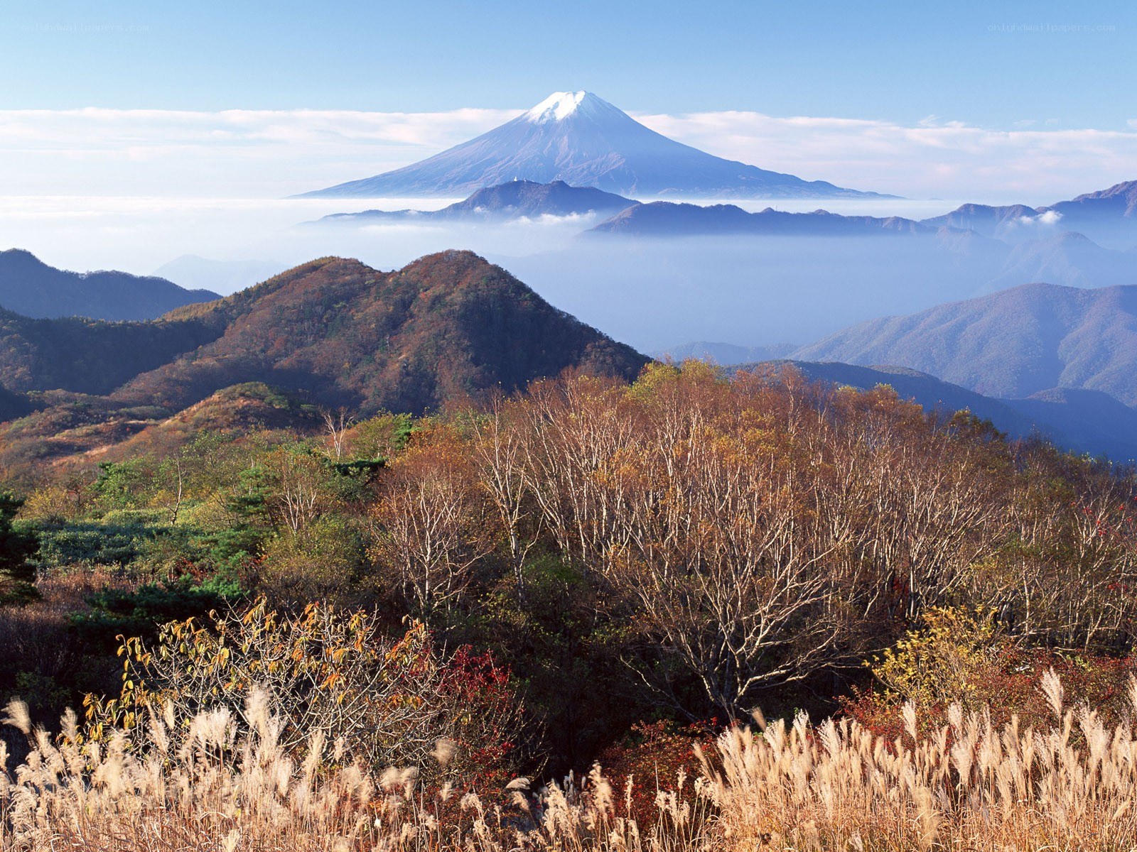 Mount Fuji in autumn
