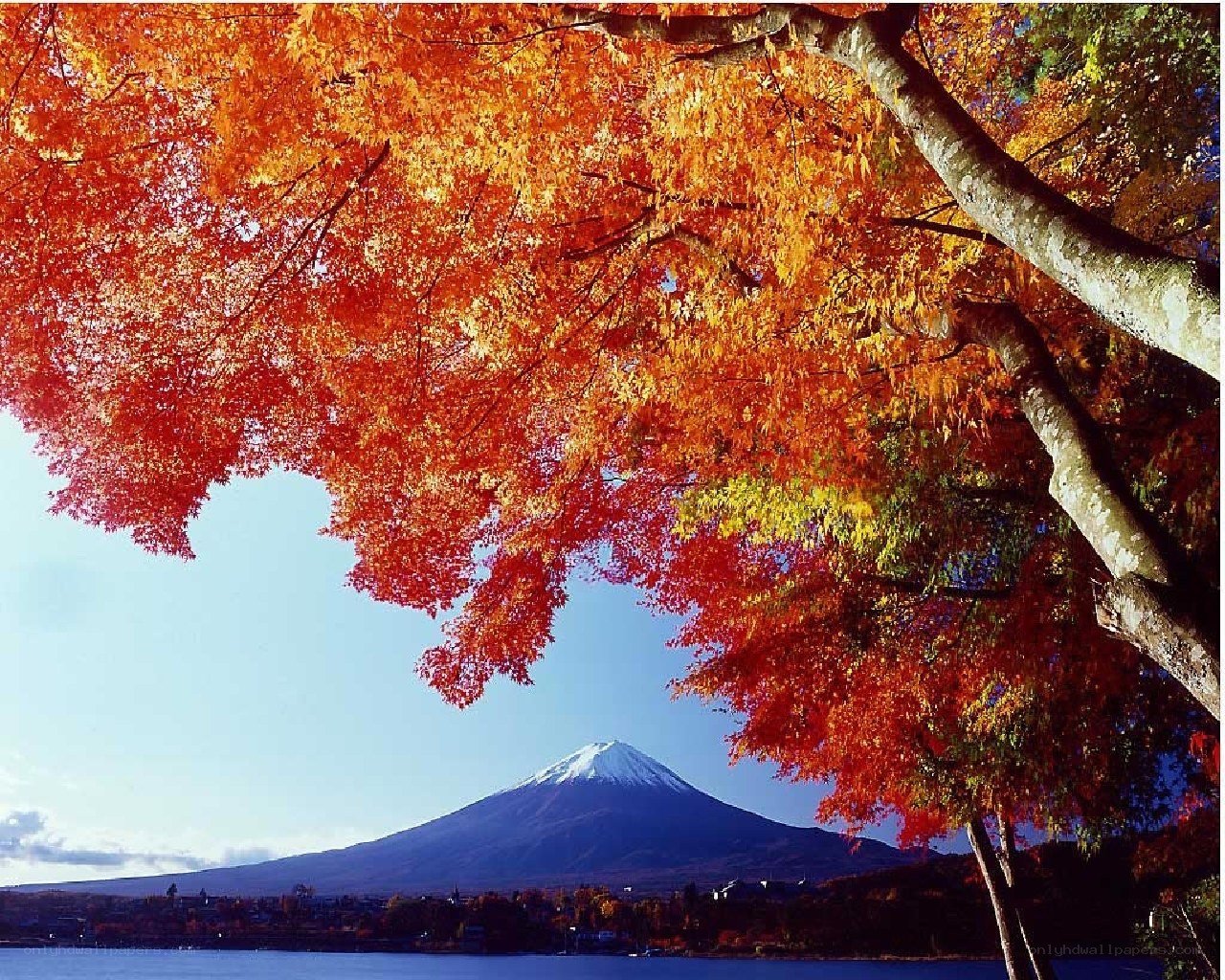 Mount Fuji in autumn