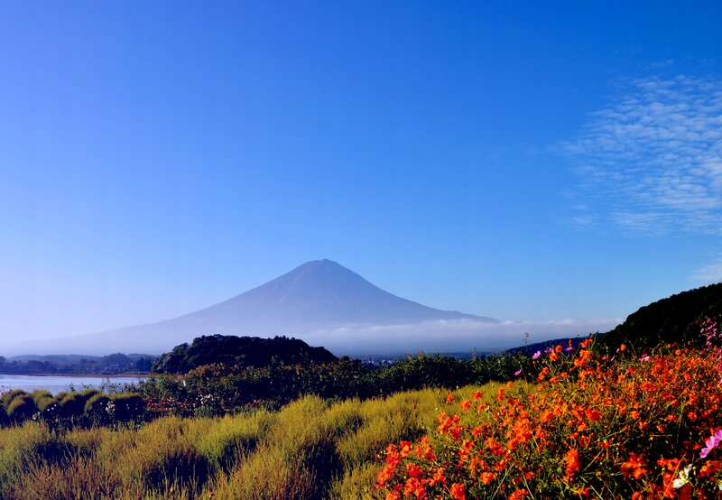 Mount Fuji in Autumn — Blue, Serene