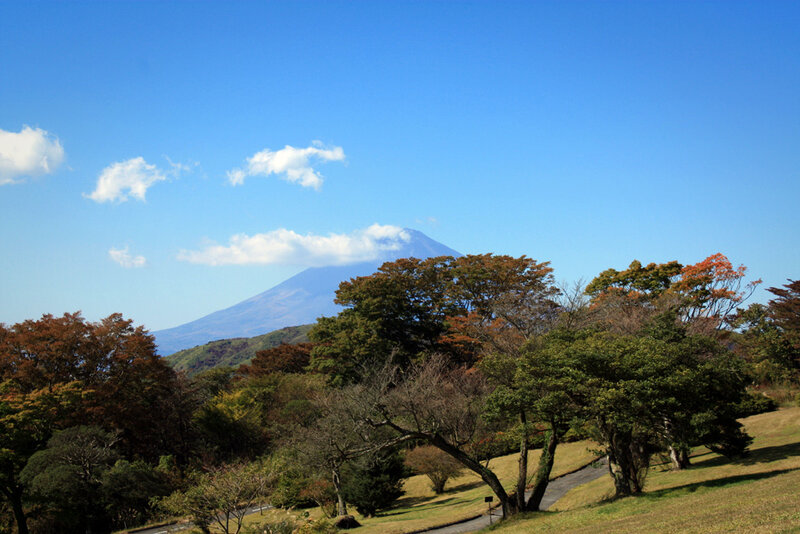 Mount Fuji in Autumn — Blue