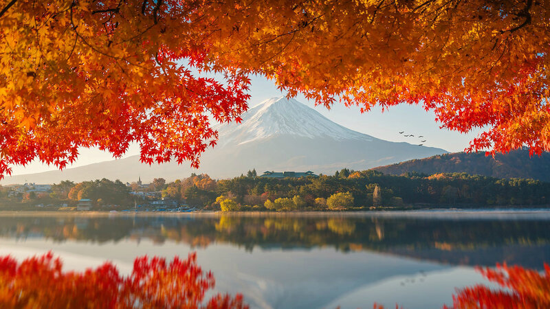 Mount Fuji in Autumn — Orange, Serene