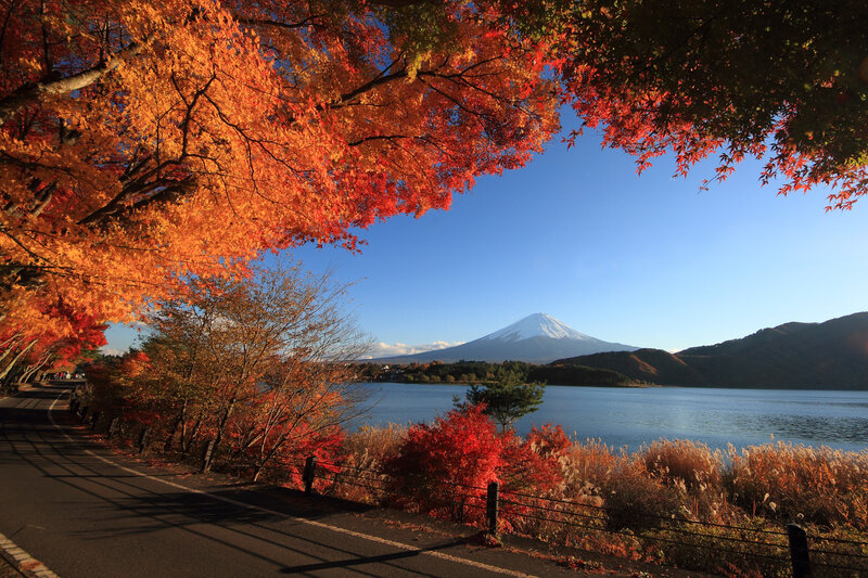 Mount Fuji in Autumn — Orange