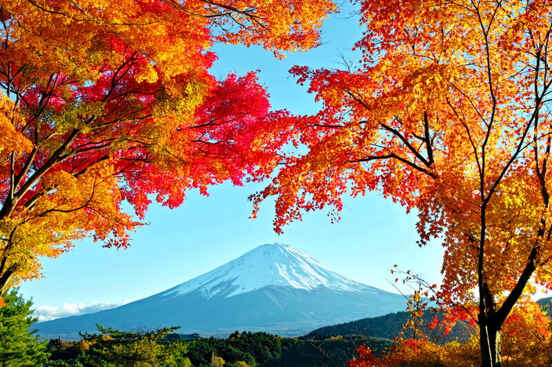 Mount Fuji in Autumn — Red, Serene