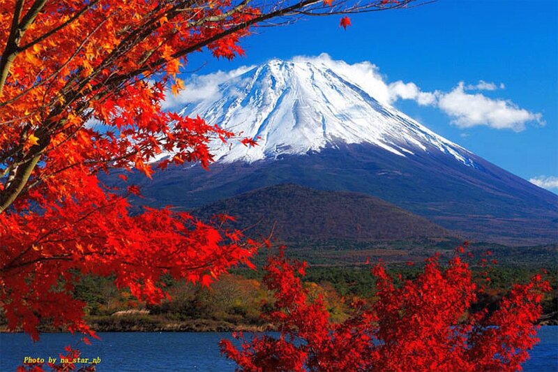 Mount Fuji in Autumn — Red