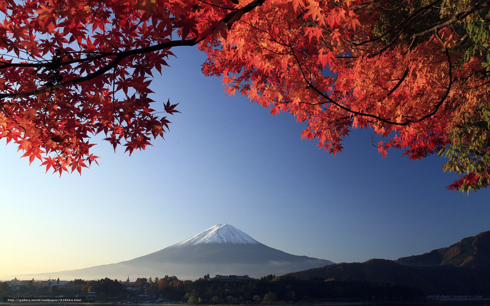 Mount Fuji in autumn
