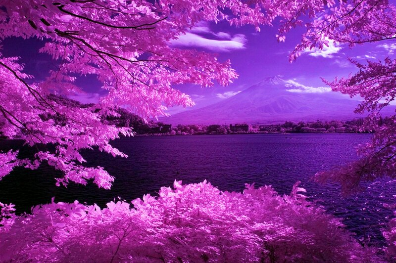 Mount Fuji in Infrared