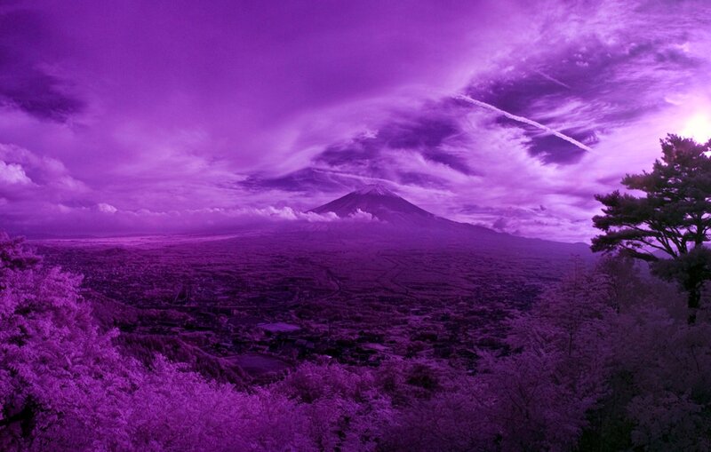 Mount Fuji Landscape — Purple