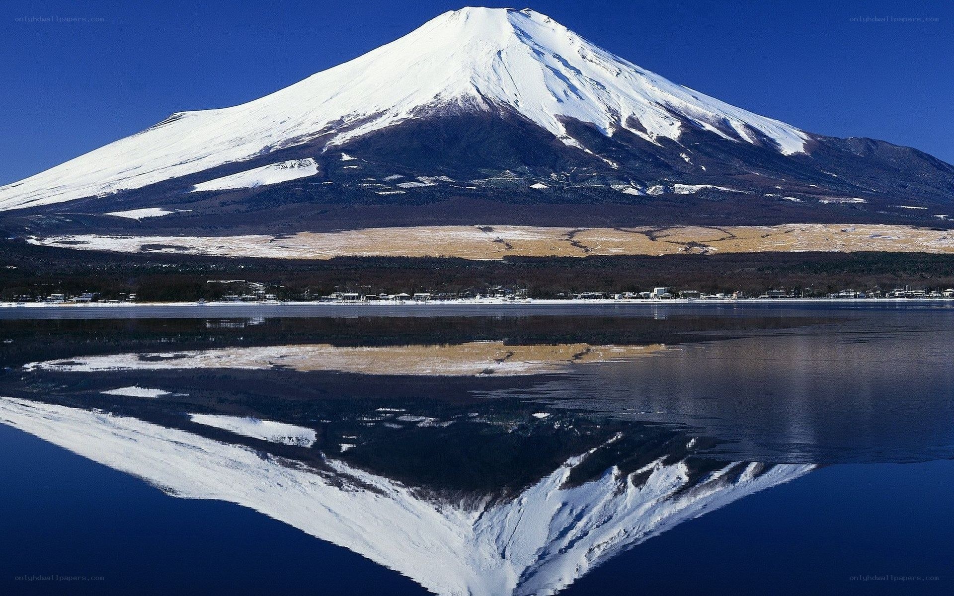 Mount Fuji reflected in a lake