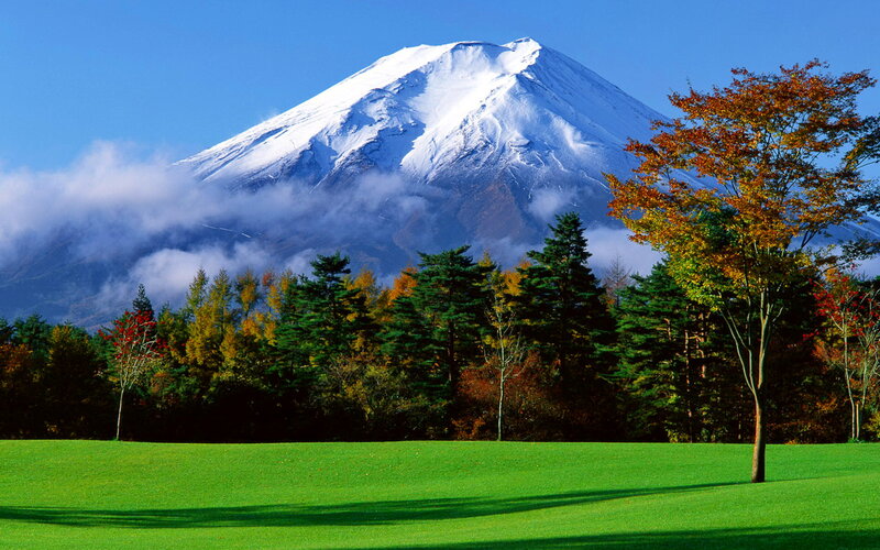 Mount Fuji Snow-capped — Green