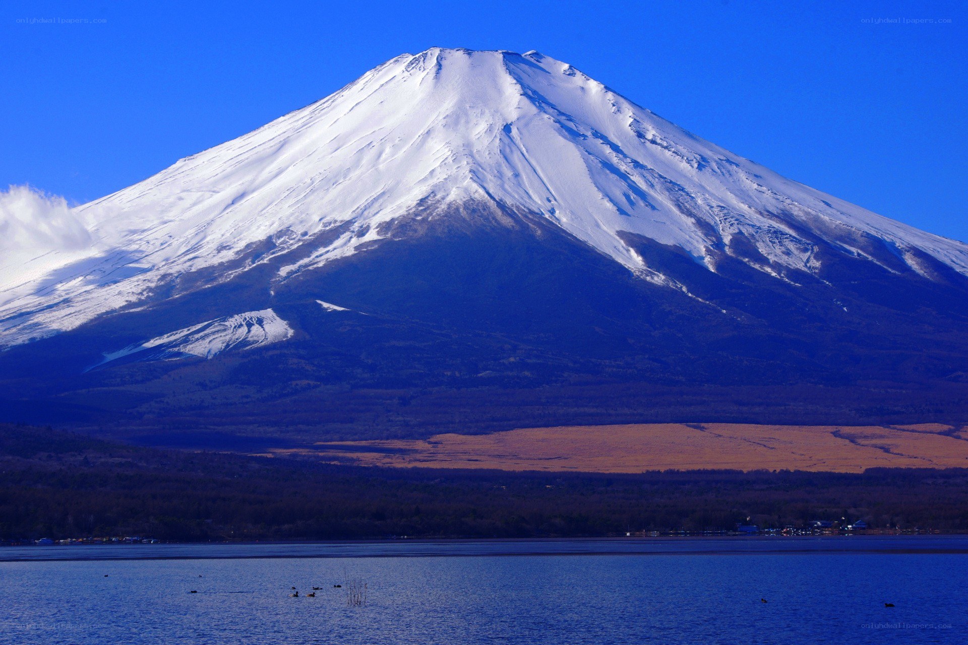 Mount Fuji snow-capped peak