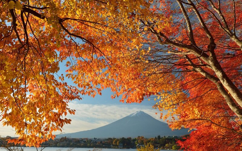 Mount Fuji Through Autumn Leaves — Orange