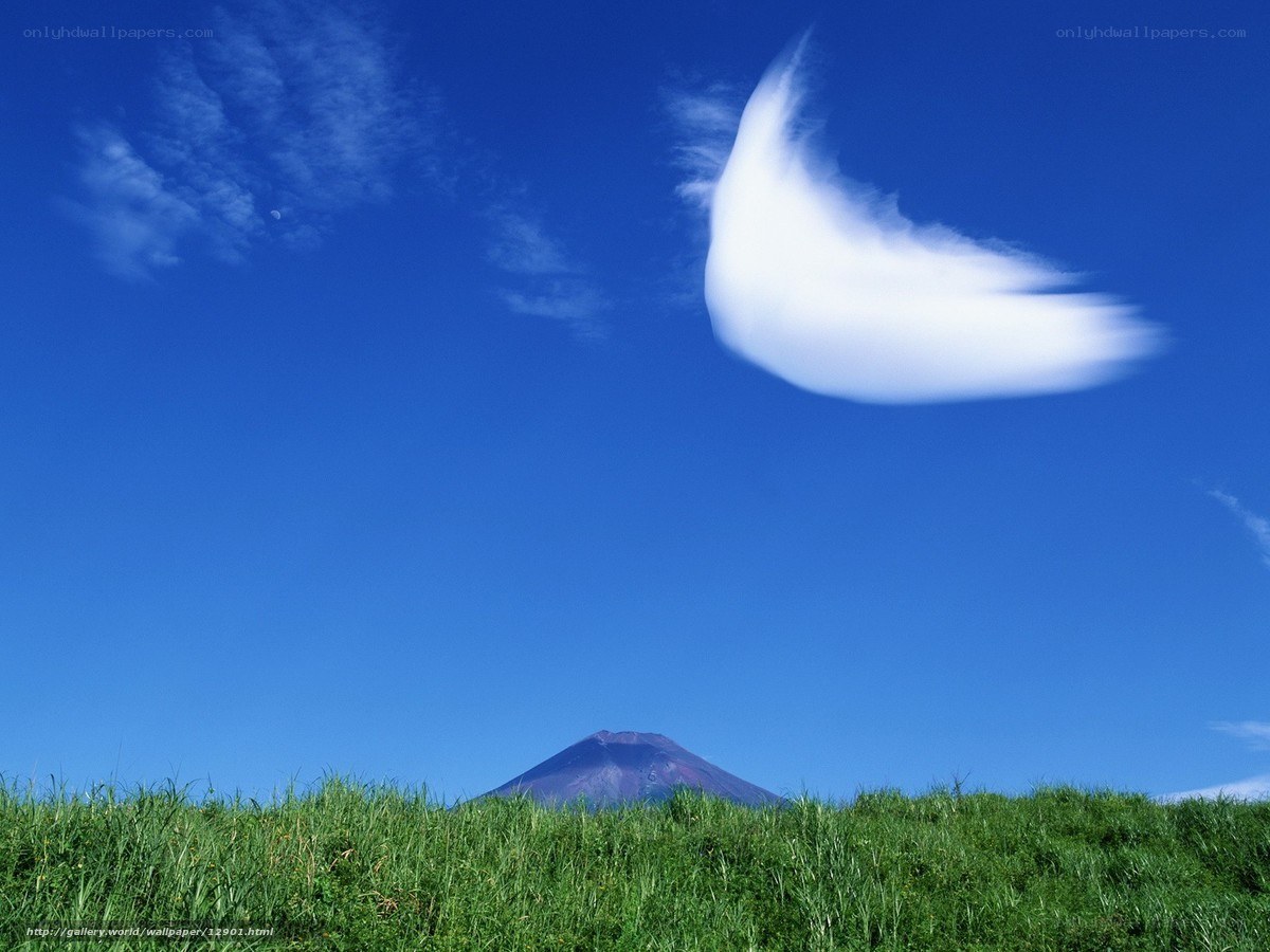 Mount Fuji under blue sky