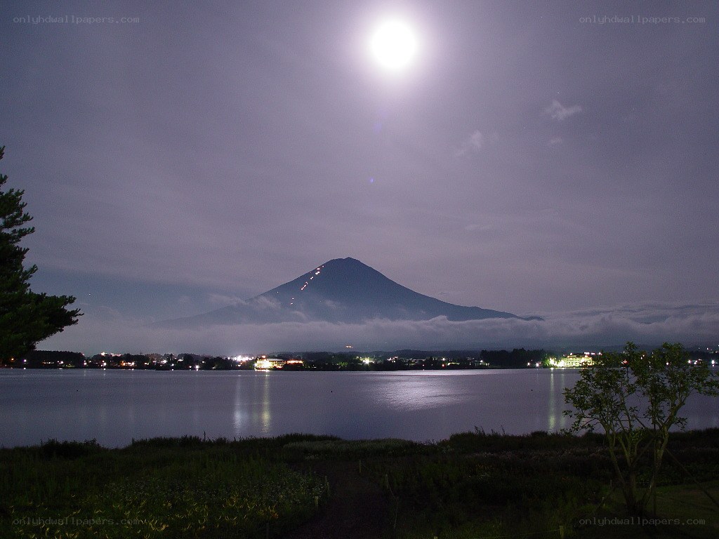 Mount Fuji under moonlight