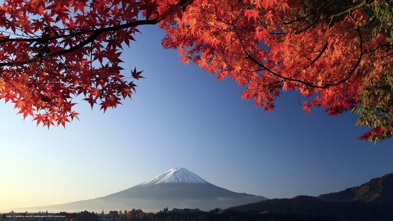 Mount Fuji with autumn leaves