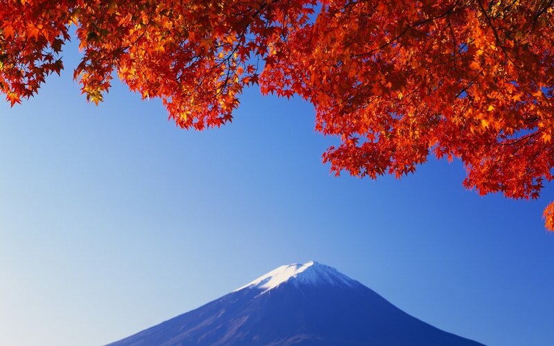 Mount Fuji with Autumn Leaves — Blue, Serene, Photograph, Mountain, Tree, Sky, Red