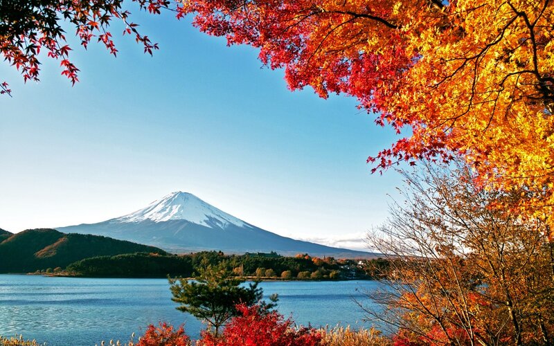 Mount Fuji with Autumn Leaves — Blue, Serene