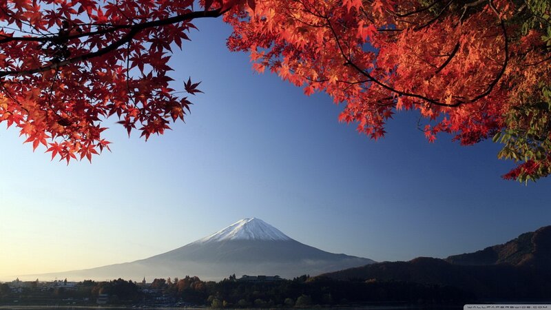 Mount Fuji with Autumn Leaves — Red, Serene, Photograph, Mountain, Trees