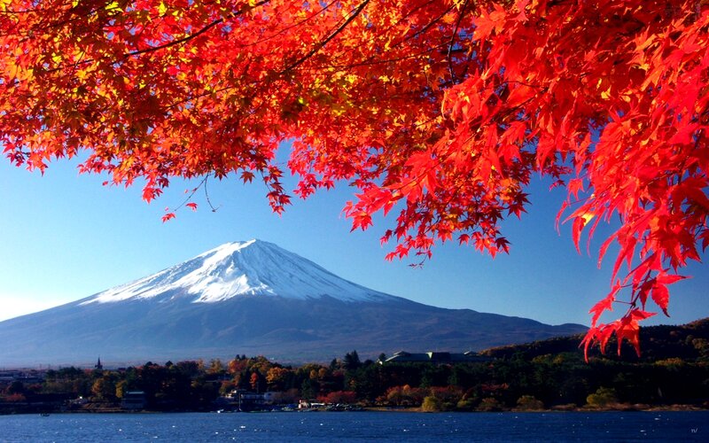 Mount Fuji with Autumn Leaves — Red
