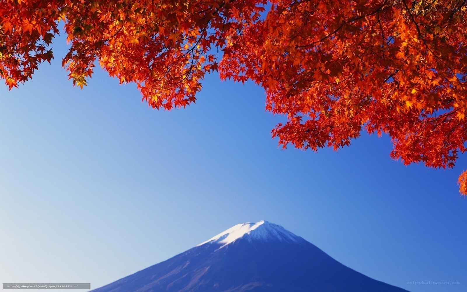 Mount Fuji with autumn leaves