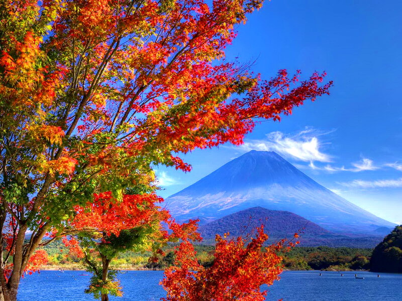 Mount Fuji with Autumn Trees — Blue