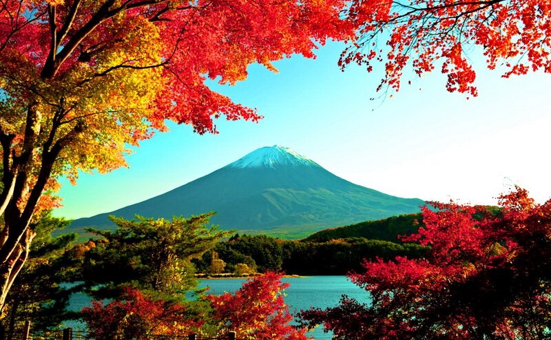 Mount Fuji with Autumn Trees — Red, Serene, Photograph
