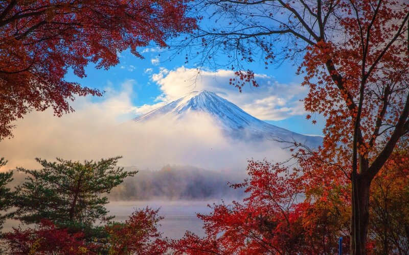 Mount Fuji with Autumn Trees — Red, Serene