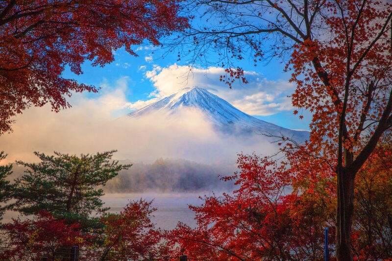 Mount Fuji with Autumn Trees — Red