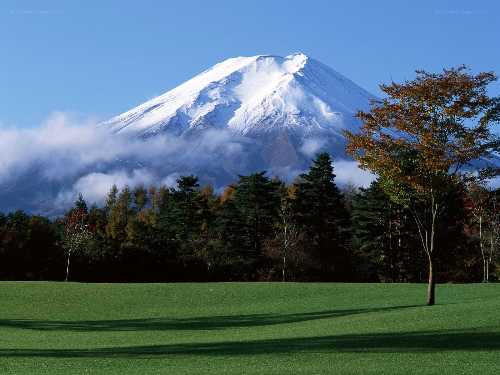 Mount Fuji with autumn trees