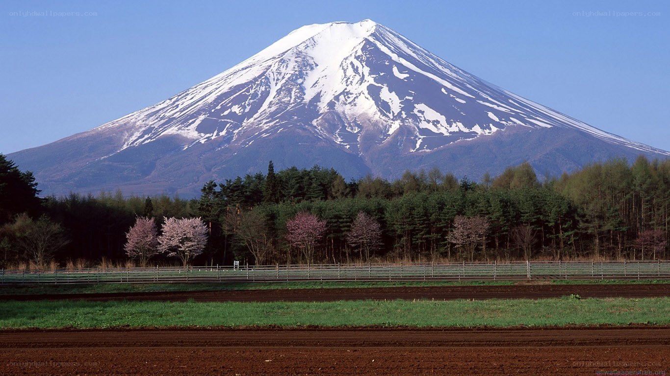 Mount Fuji with cherry blossoms