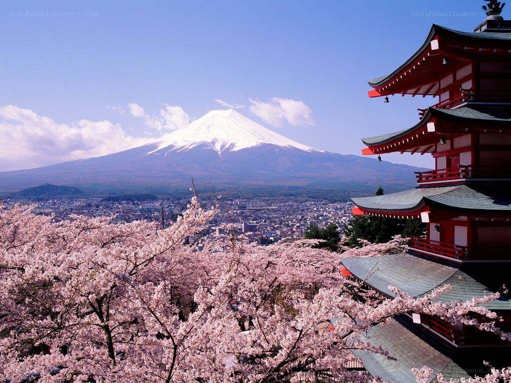 Mount Fuji with cherry blossoms
