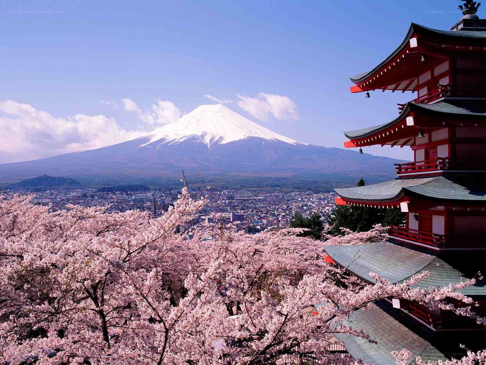 Mount Fuji with cherry blossoms