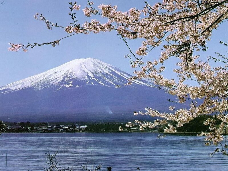 Mount Fuji with cherry blossoms