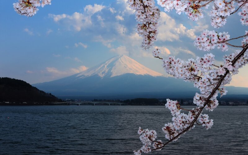 Mount Fuji with Cherry Blossoms — Blue, Serene, Spring, Photograph, Cherry Blossoms, Lake