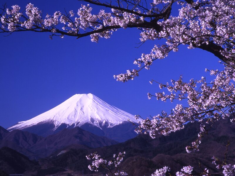 Mount Fuji with Cherry Blossoms — Blue, Serene, Spring, Photograph, Cherry Blossoms