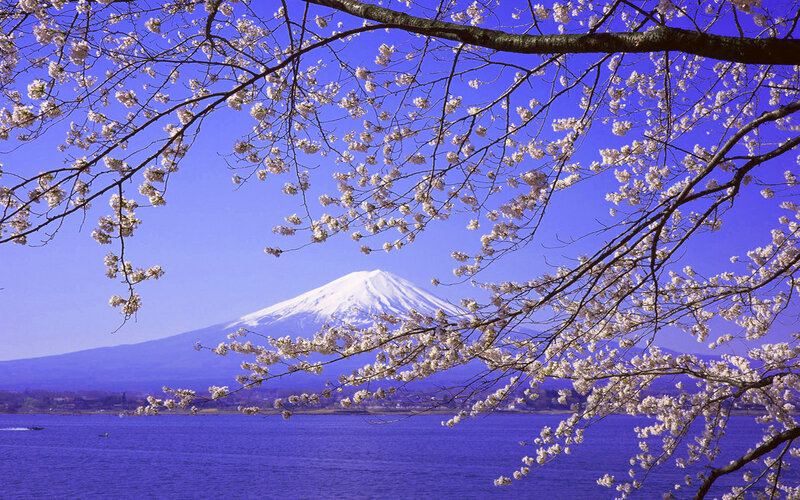 Mount Fuji with Cherry Blossoms — Blue, Serene, Spring, Photograph