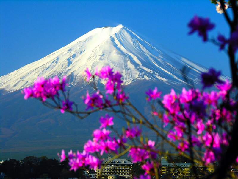 Mount Fuji with Cherry Blossoms — Blue, Serene, Spring