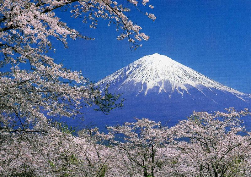 Mount Fuji with Cherry Blossoms — Blue