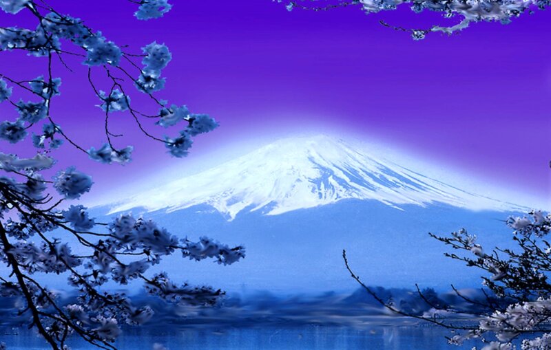 Mount Fuji with Cherry Blossoms — Purple