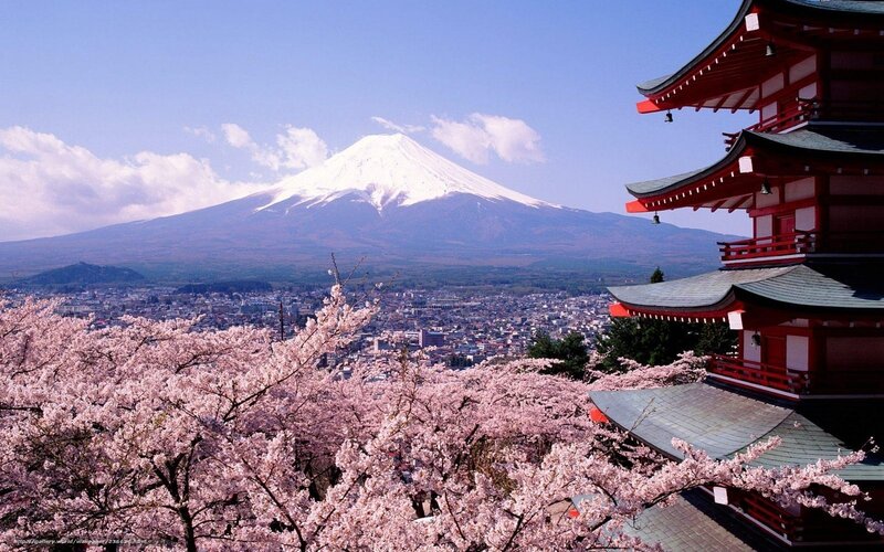 Mount Fuji with cherry blossoms